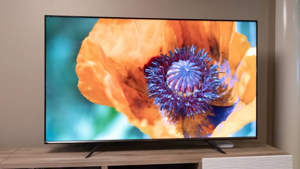 تلویزیونی با پخش تصویری از یک گل نارنجی رنگ