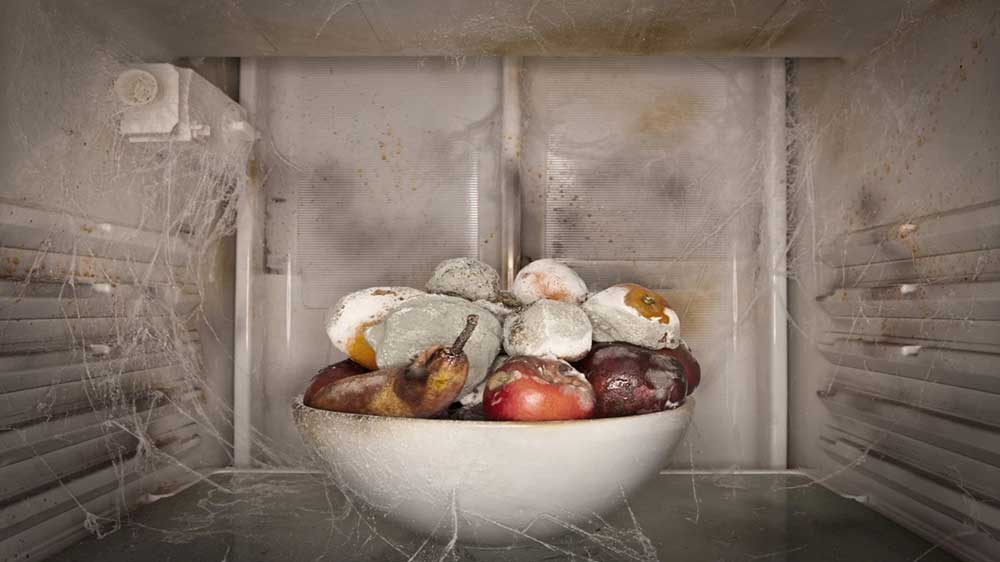 پخش شدن کپک در محیط درونی یخچال با ظرفی از میوه‌های گندیده