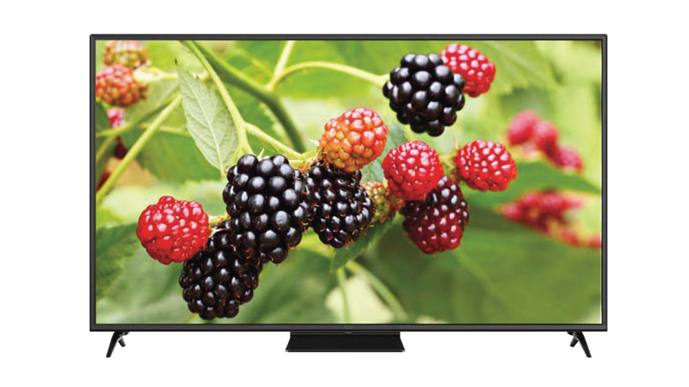 تلویزیون 4K برند Gplus مدل 65RU744N مشکی رنگ در حال نمایش تعدادی توت سیاه و قرمز روی درخت