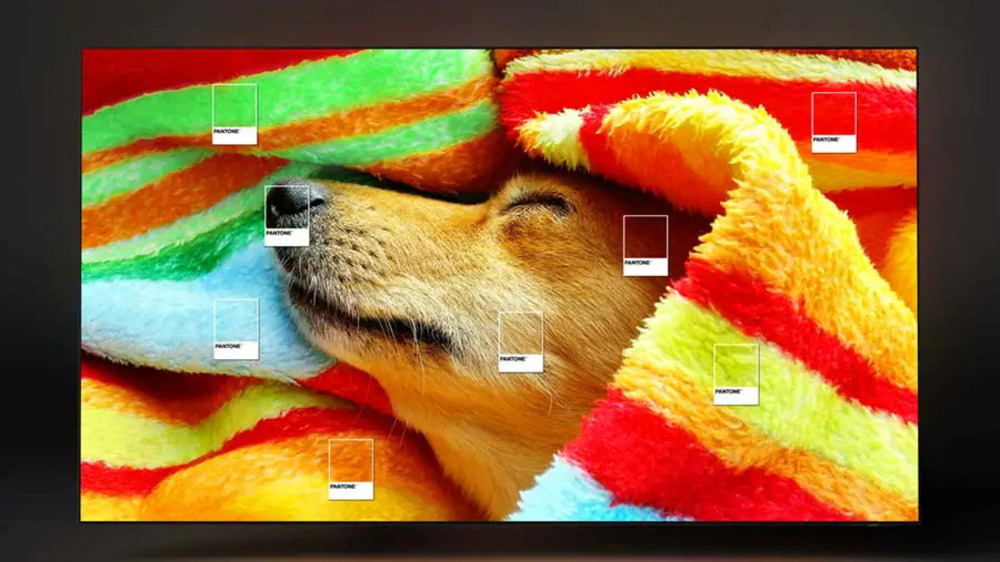 یک تلویزیون سامسونگ S95C با تصویر یگ سگ با چشمان بسته در حالی که لای یک پتوی رنگارنگ پیچیده شده است در صفحه نمایش آن