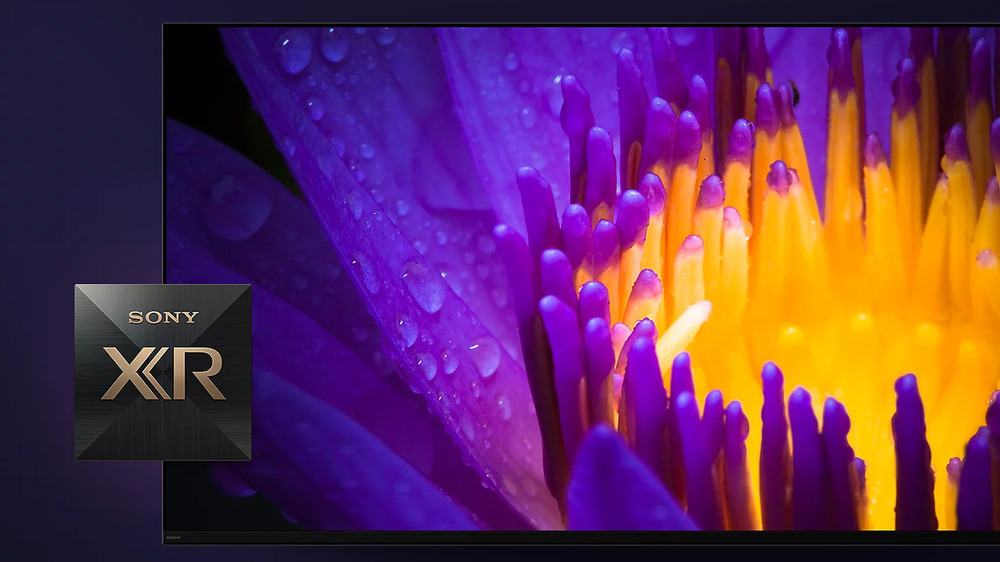 یک تلویزیون سونی A80L با تصویر یگ گل با گلبرگ‌های بنفش و شبنم روی آنها در صفحه نمایش آن
