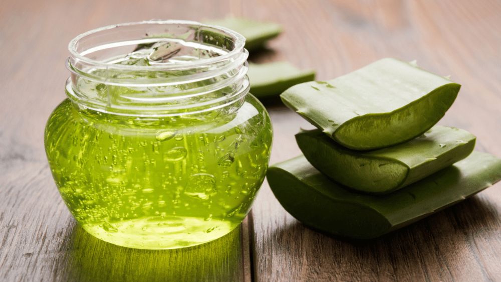 تعدادی آلوئهورا تازه کنار یک شیشه ژل آلوئهورا