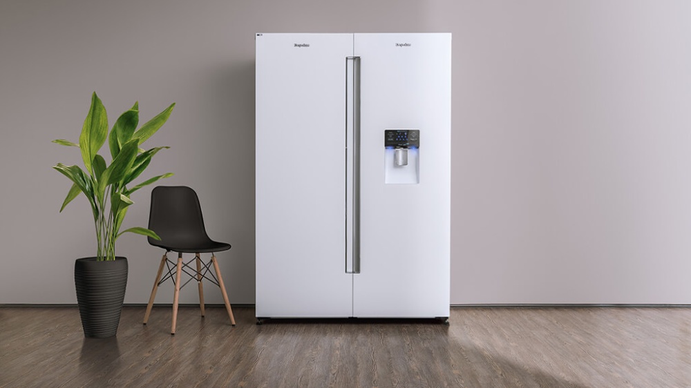 یک یخچال دوقلو از برند دیپوینت کنار یک صندلی مشکی و یک گلدان